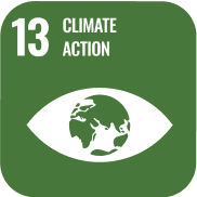 SDG8
