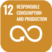 SDG9