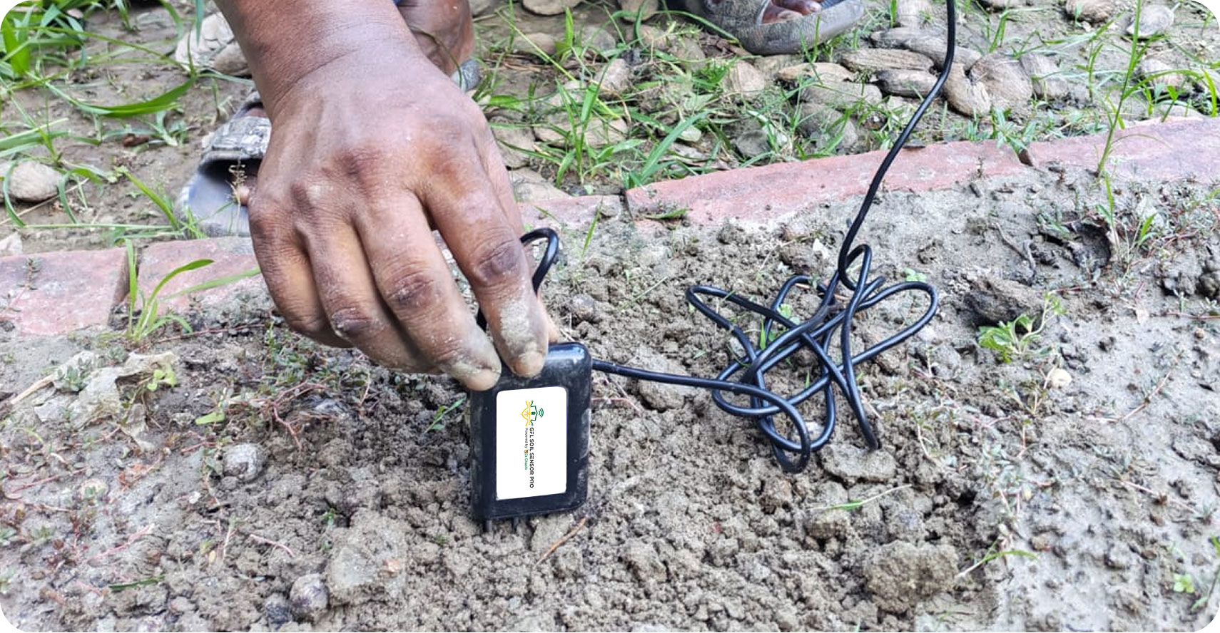 A farmer caring for crops in a field